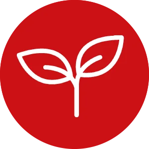 Zahlen-Fakten-Landwirtschaft